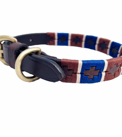 BR Polo Dog Collar (Chocolate-Navy-Champ Stripe)