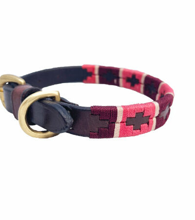 BR Polo Dog Collar (Pink-Br-Champagne Stripe)