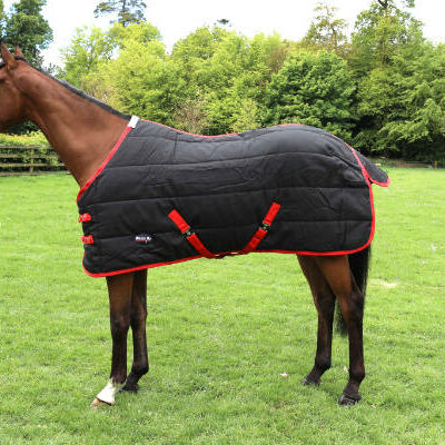 BREEZE UP Stable Rug Classic