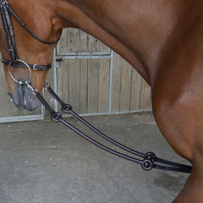 Breeze Up Bungee Martingale Synthetic